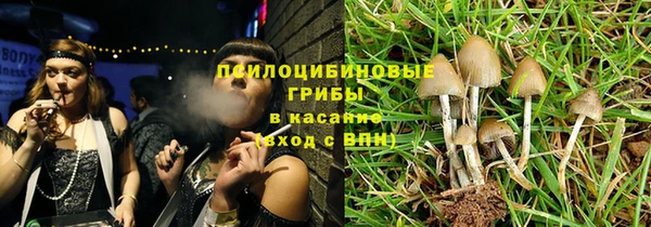spice Абинск