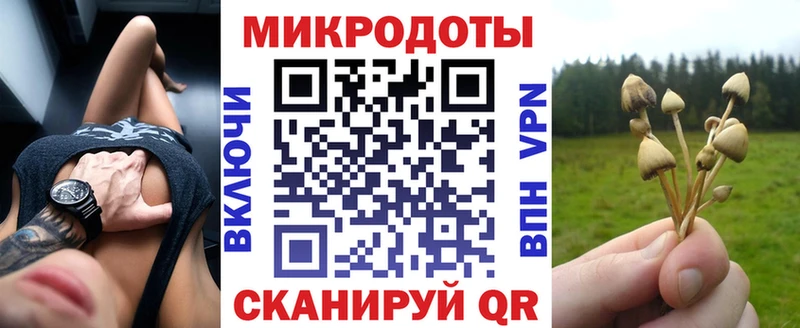 Псилоцибиновые грибы Psilocybine cubensis  Тайга 